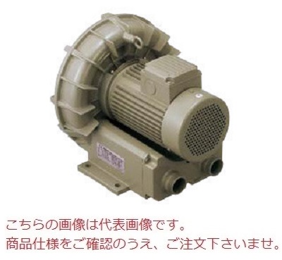 ポイント5倍】【直送品】 テラル リングブロワ VFZ101AF (三相 ポイント5倍】【直送品】 テラル リングブロワ VFZ101AF (三相