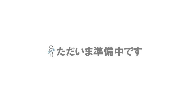 �y�����i�z �R���H�� �R���r�j���S�� (�i�C�����L���X�^�[) WCWN-2-P �y��^�z
