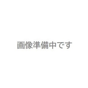 最終値下 【ポイント5倍】【直送品】 油研工業 可変ピストンポンプ AR