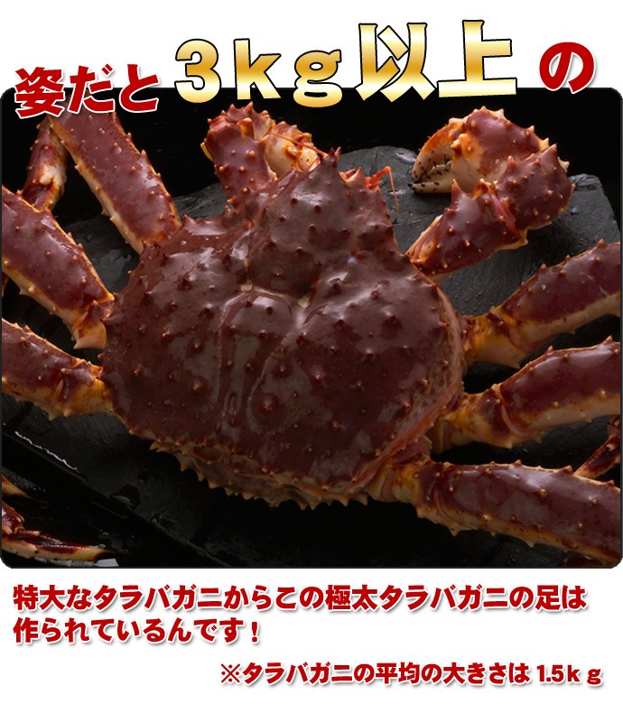 タラバガニ足 ボイル 極太 4L 1.2kg前後 身入り抜群 送料無料 ※沖縄は