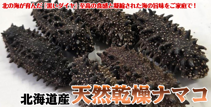 北海道産 天然乾燥ナマコ【特撰A級品】L-Mサイズ500g（約60-100個入