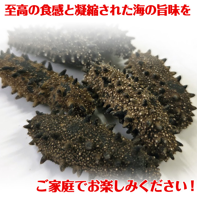 北海道産 天然乾燥ナマコ【特撰A級品】L-Mサイズ500g（約60-100個入