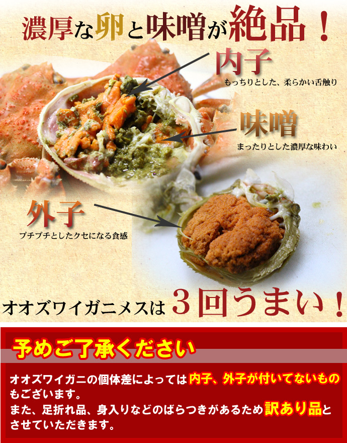 オオズワイガニ メス 活 訳あり 北海道産 2kg（約4−12尾入） 身