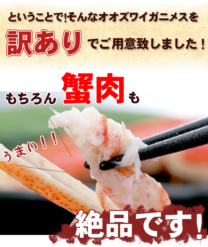 オオズワイガニ メス 活 訳あり 北海道産 4kg（約13−25尾入） 身入り7分前後 送料無料 ※沖縄送料別途加算 クリスマス 御歳暮 正月 :  wzu-014 : ミツハシグルメ北海道 - 通販 - Yahoo!ショッピング