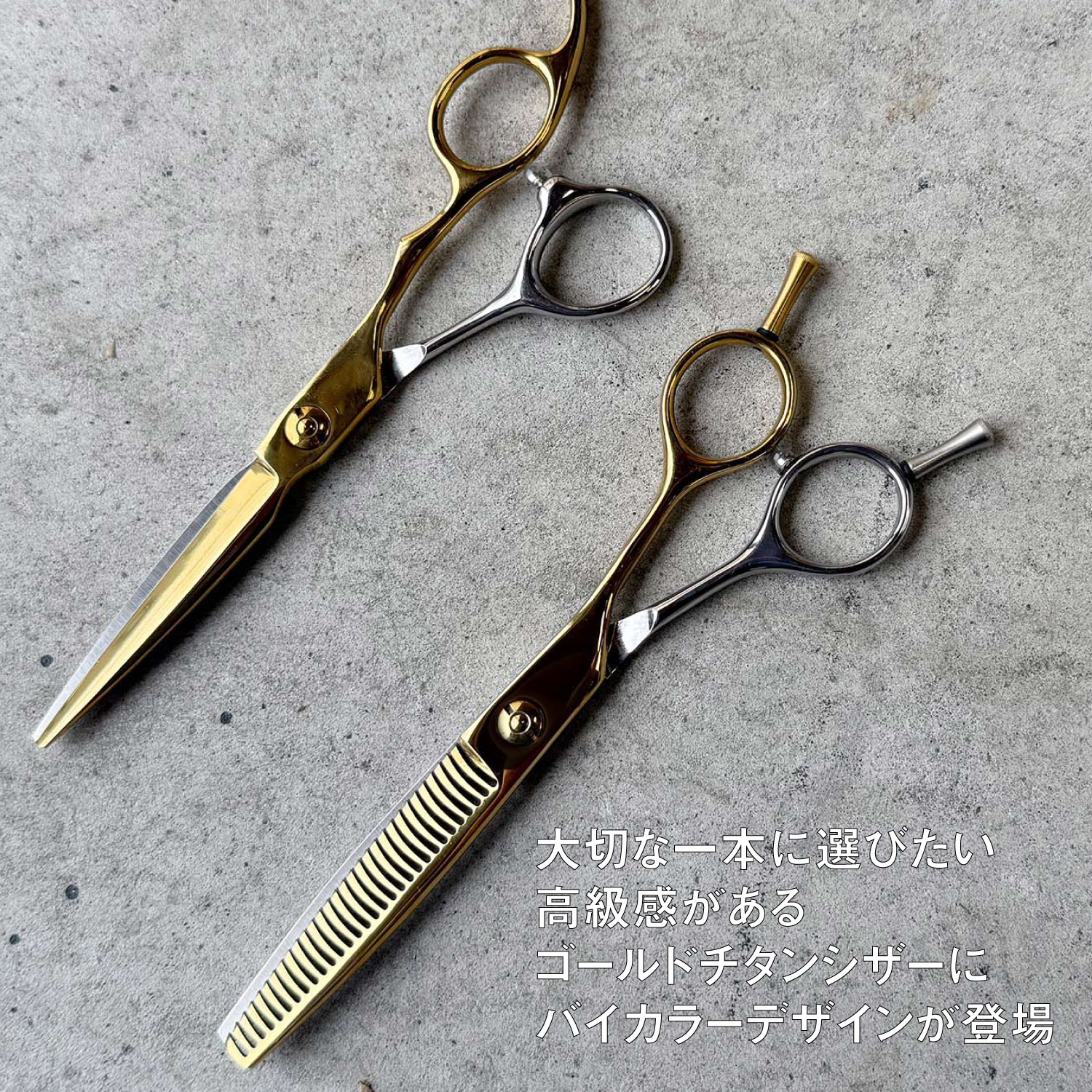 DEEDS プロ用 美容師 GTZ ソードシザー ゴールドチタン × シルバー 6.0