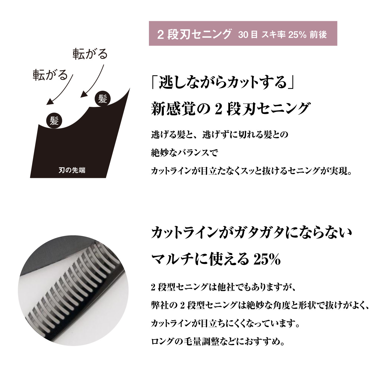 DEEDS プロ用 美容師 GTZ ブラックチタン シザー セニング セット（5.5