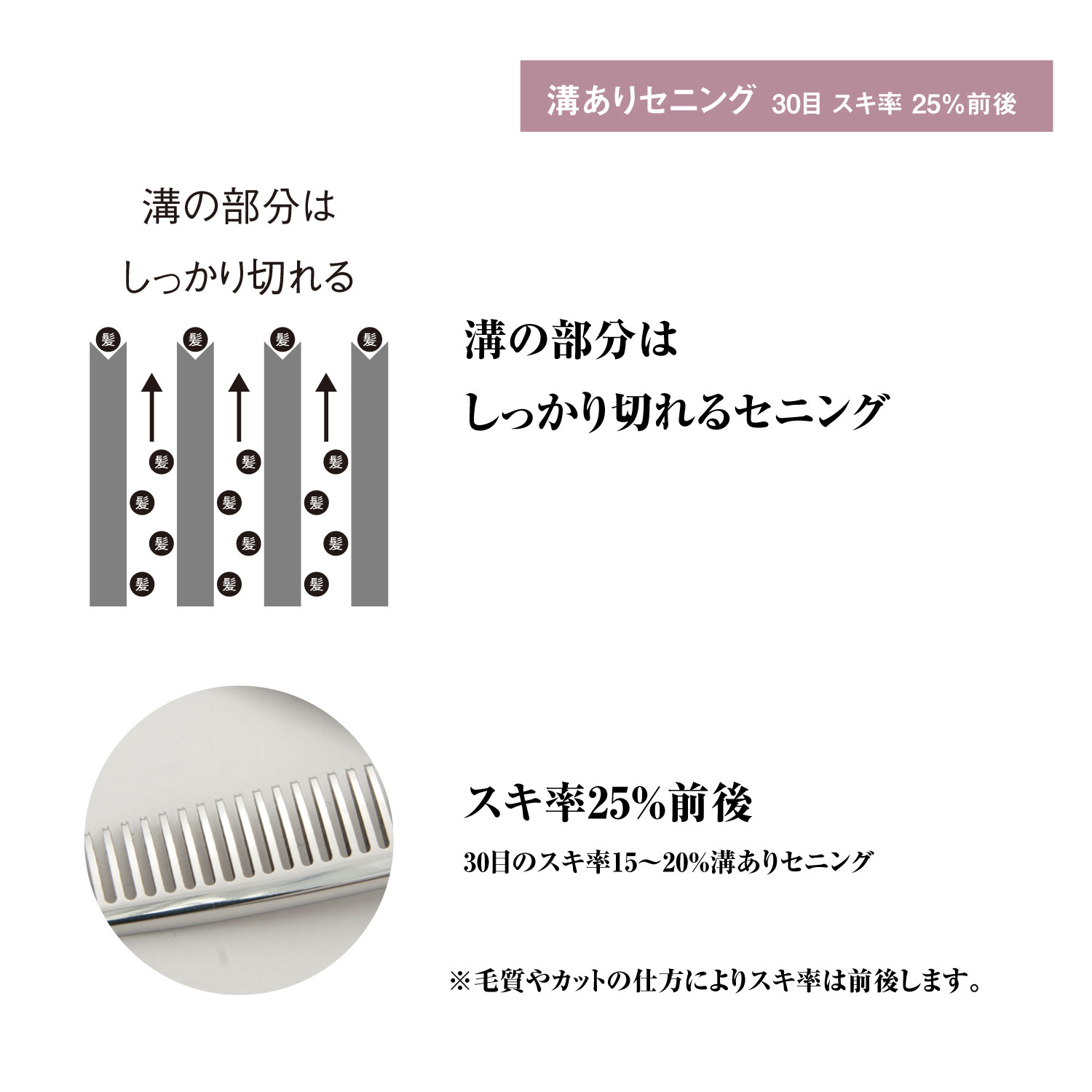 メール便可/ 日本の鋏専門メーカー 鍛造仕上 美容師専用 /XXB630IV