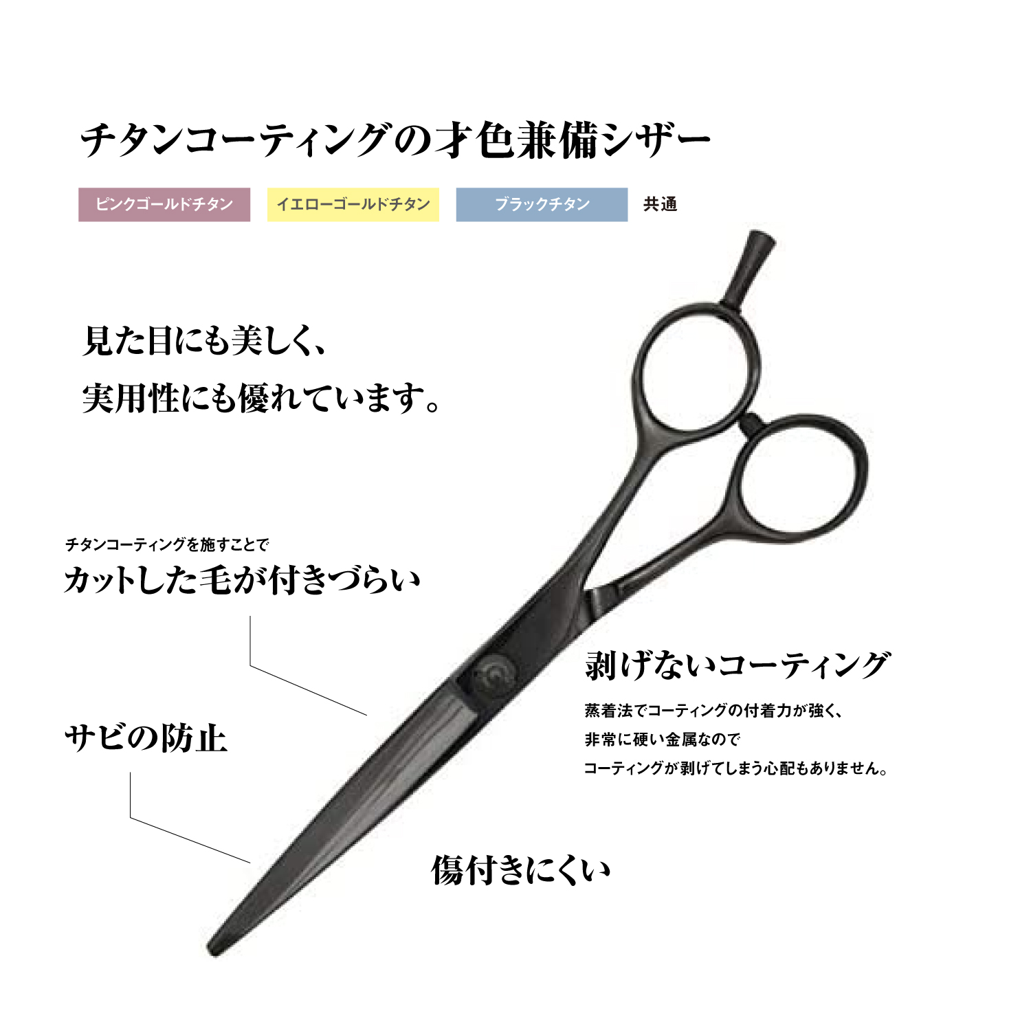 DEEDS プロ用 美容師 GDZ ブラックチタン シザー セニング