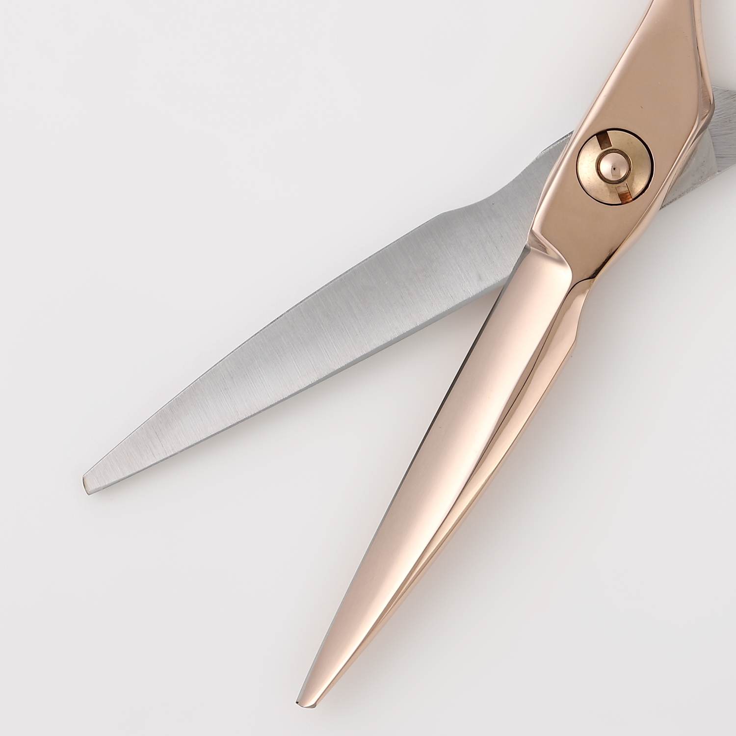 シザー　美容師　プロ用　5.5インチ シザー プロ用 彩 美容師 5.5インチ