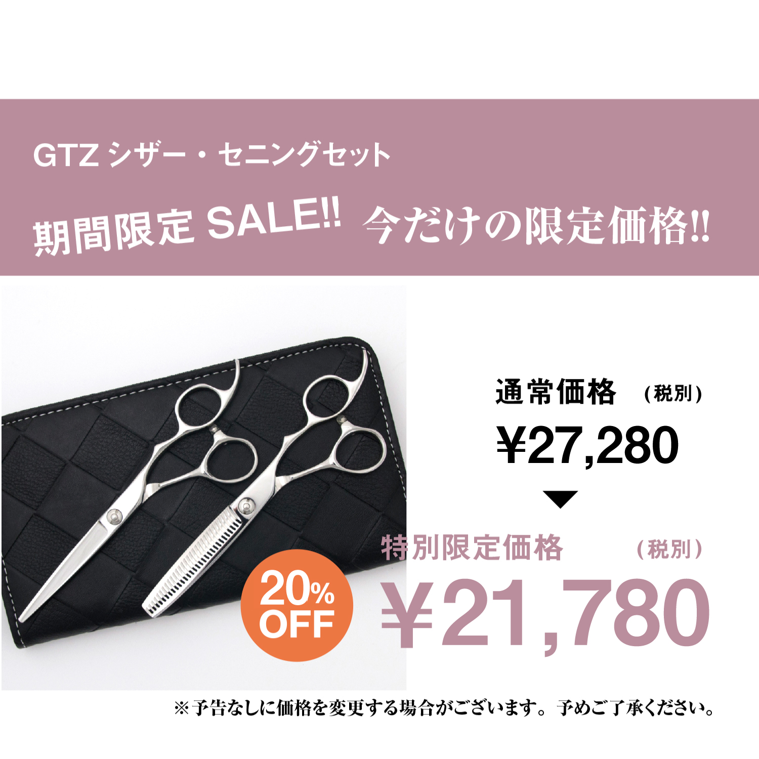 DEEDS プロ用 美容師 GTZ シザー セニング 2本セット スキ率25％前後