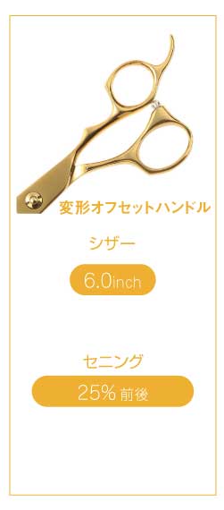 DEEDS プロ用 美容師 GUZ ゴールドチタンシザー 6.0インチ 日本の鋏