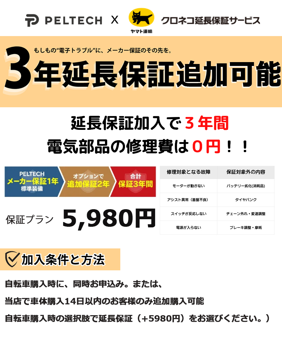 送料無料※一部地域 電動アシスト 20インチ TDN-209L 低床フレーム