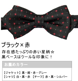 蝶ネクタイ 星柄 小 メンズ
