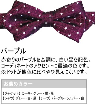 蝶ネクタイ 星柄 小 メンズ