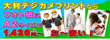ディプリーズ Yahoo!店 - Yahoo!ショッピング