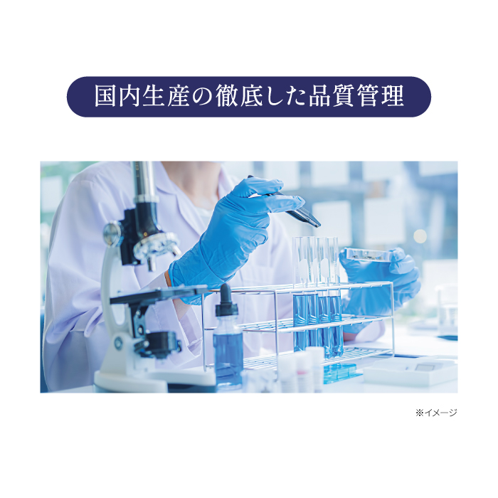 国内生産