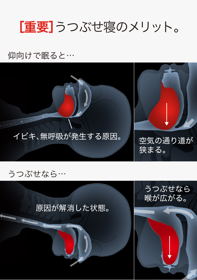 うつぶせ 枕 うつぶせ寝枕 FUSERO4-フセロ4-「より多くの人にうつぶせ寝の心地よさを。」 まくら いびき 枕 マクラ ドクタースミス  いびき防止 : 13345b : Dr.Smith Yahoo!店 - 通販 - Yahoo!ショッピング