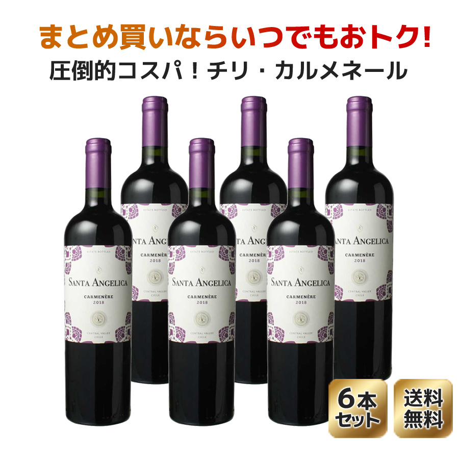 送料無料 ワインセット サンタ・アンジェリカ カルメネール ラヴァナル 6本セット 家飲み まとめ買い 2020 赤｜dragee-wine