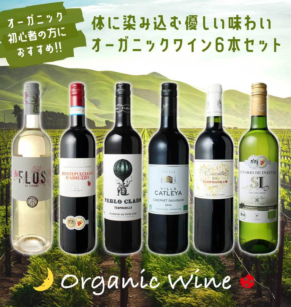がございま ワインセット フランス イタリア スペイン 第21弾 Wineset ビールと洋酒専門店酒のやまいち 通販 Paypayモー 送料無料 オーガニック ワイン 6本 セット ユーロリーフ認定入 赤ワイン 白ワイン トについて