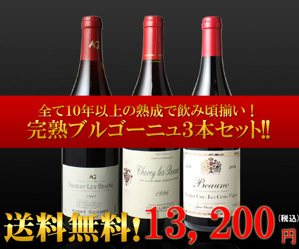 ワインセット 赤ワイン 完熟 ブルゴーニュ 3本 ワイン セット ピノ・ノワール 第29弾 wineset 送料無料  :W-ST-PAY0083:ビールと洋酒専門店酒のやまいち - 通販 - Yahoo!ショッピング