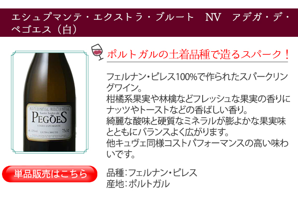 シャンパーニュ2本セット 1091000143it004.jpg