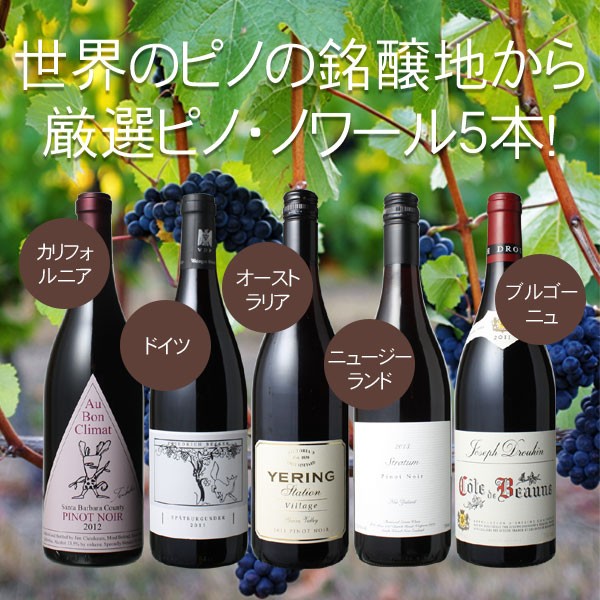 正規店好評 ワインセット 第4弾 wineset ビールと洋酒専門店酒のやまいち - 通販 - PayPayモール 送料無料 ピノ・ノワール 5本  セット 赤ワイン 世界のピノ・ノワールを飲み比べ 定番在庫あ - hualing.ge