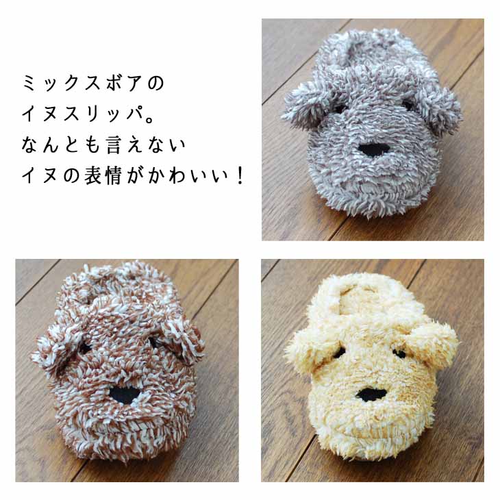 イヌスリッパ