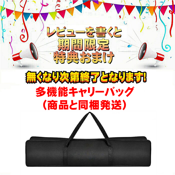ピックルボール 
