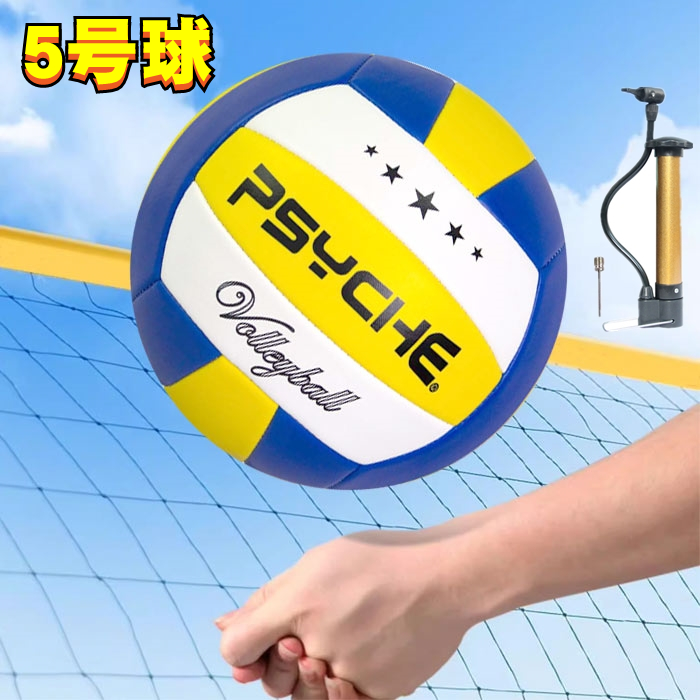 ビーチボール（スポーツ用品）の商品一覧 通販 - Yahoo!ショッピング