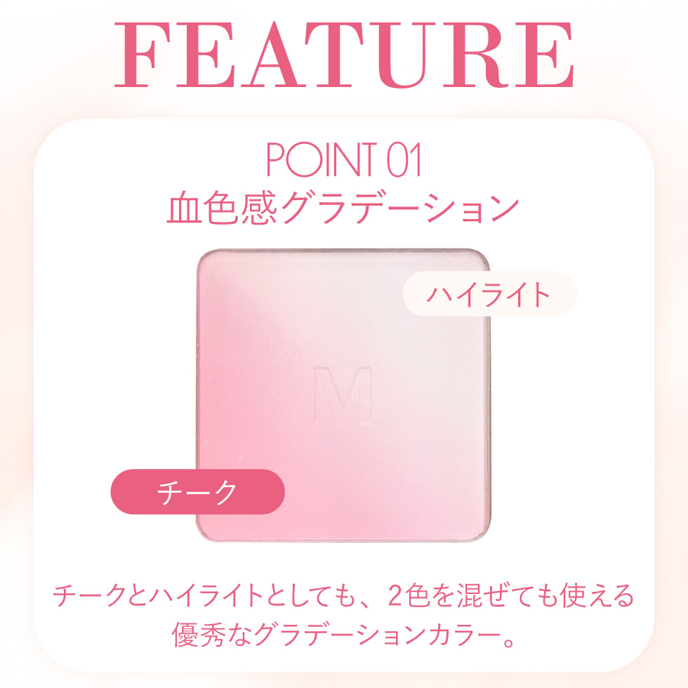 PICOMONTE（ピコモンテ） チーク＆ハイライト チークブラシ ハイライト