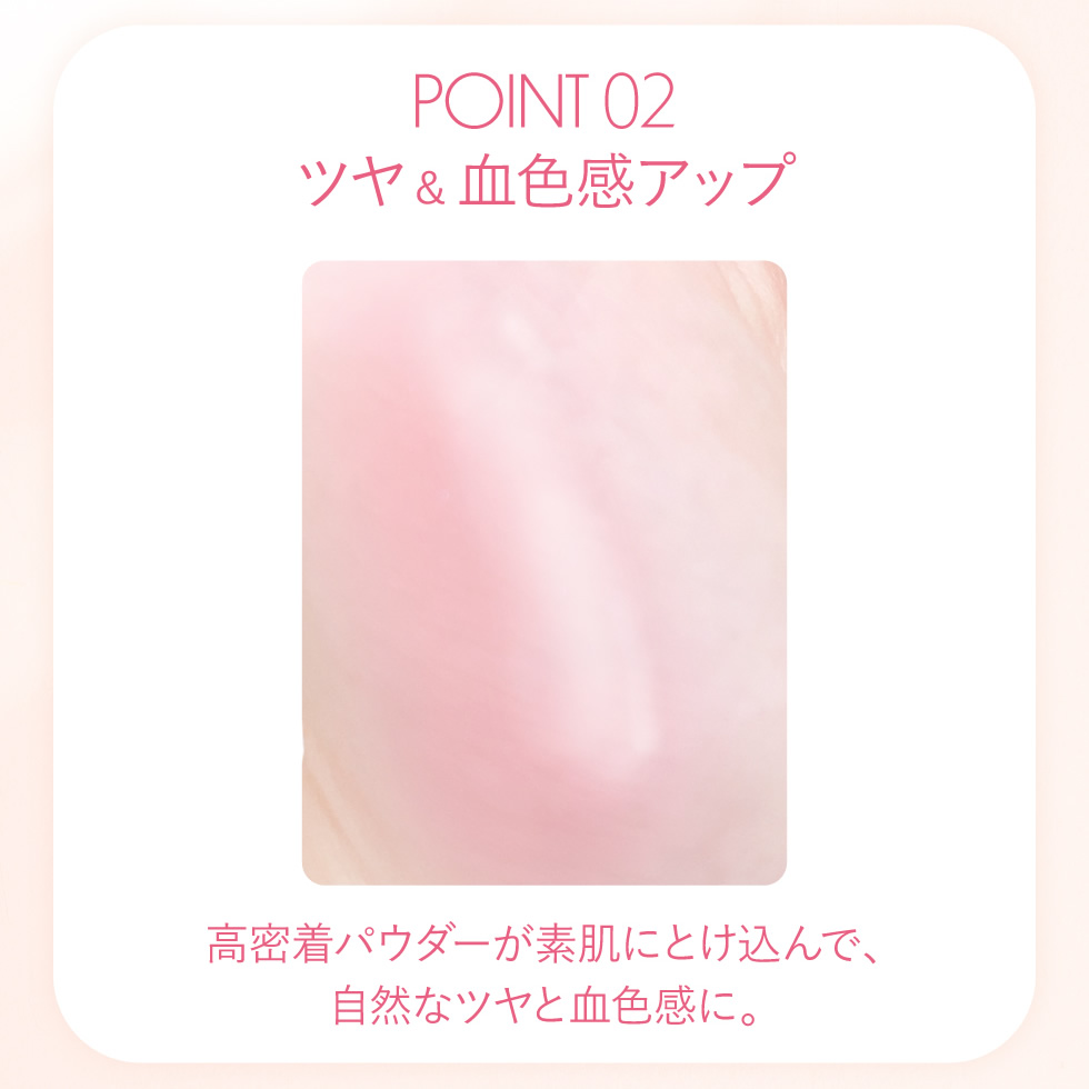 PICOMONTE（ピコモンテ） チーク＆ハイライト チークブラシ ハイライト