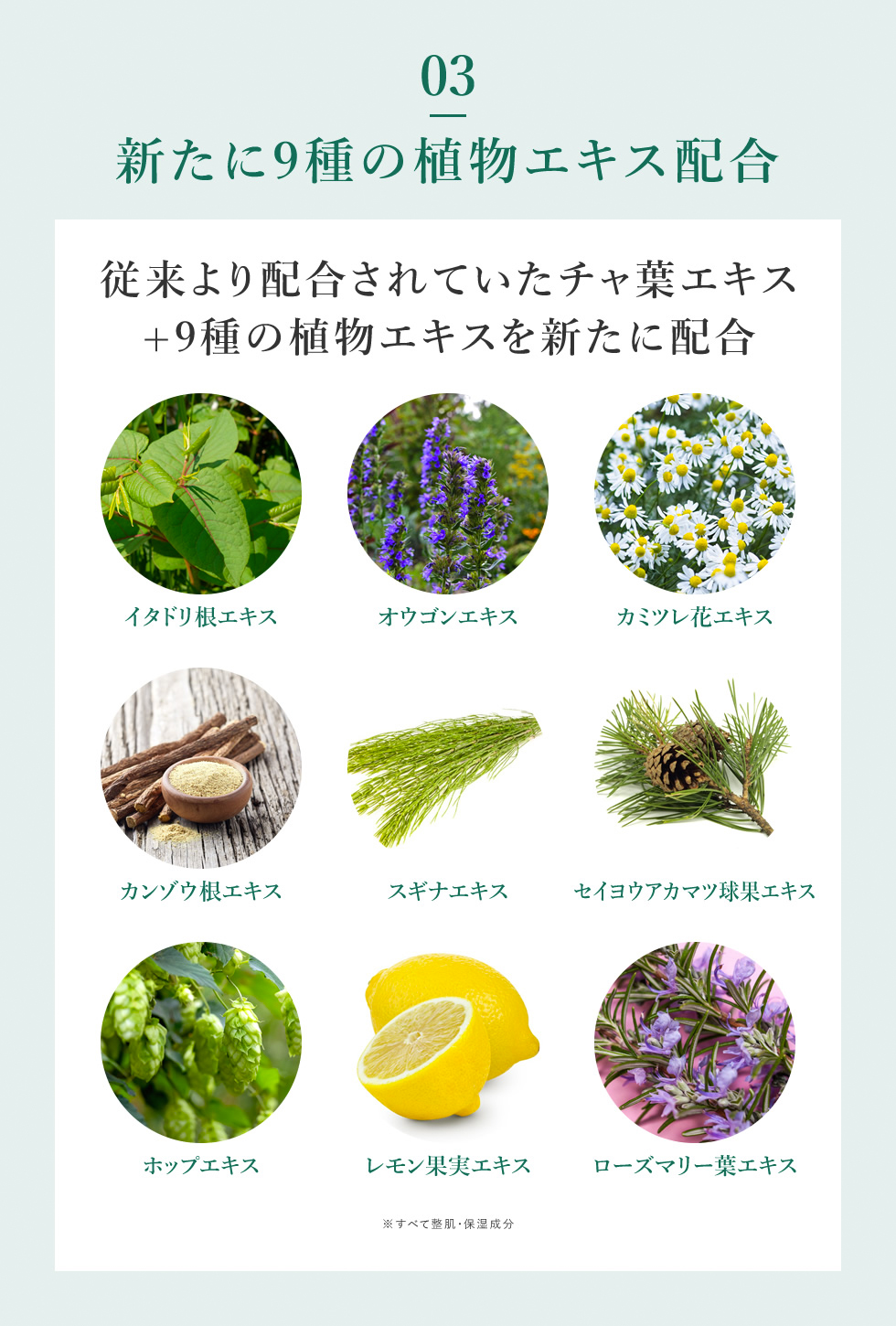 公式】 CICA化粧水 大容量 1000ml CICA 化粧水 シカ 大容量化粧