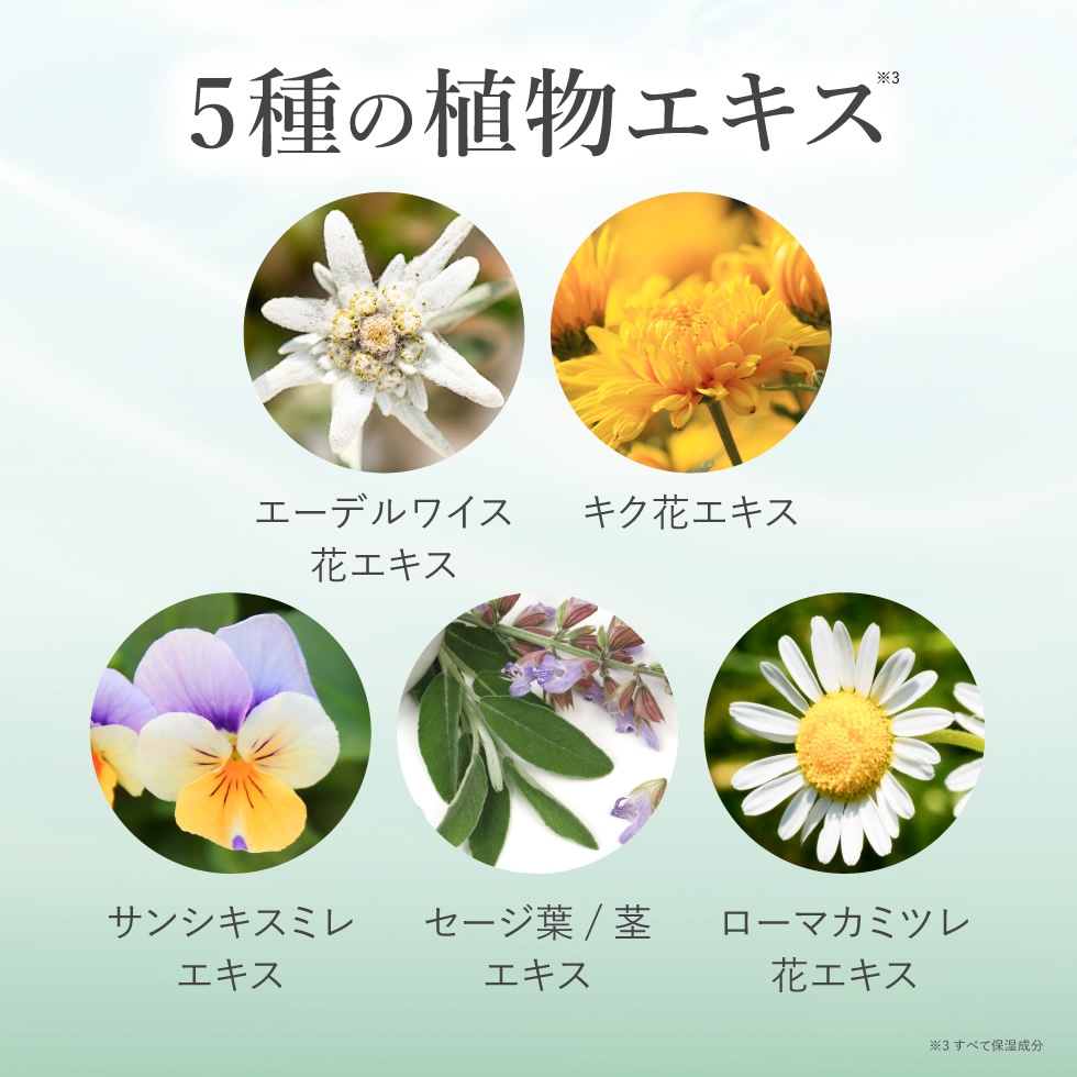 PICOMONTE（ピコモンテ） クレンジングシート 62枚入り 3個セット CICA