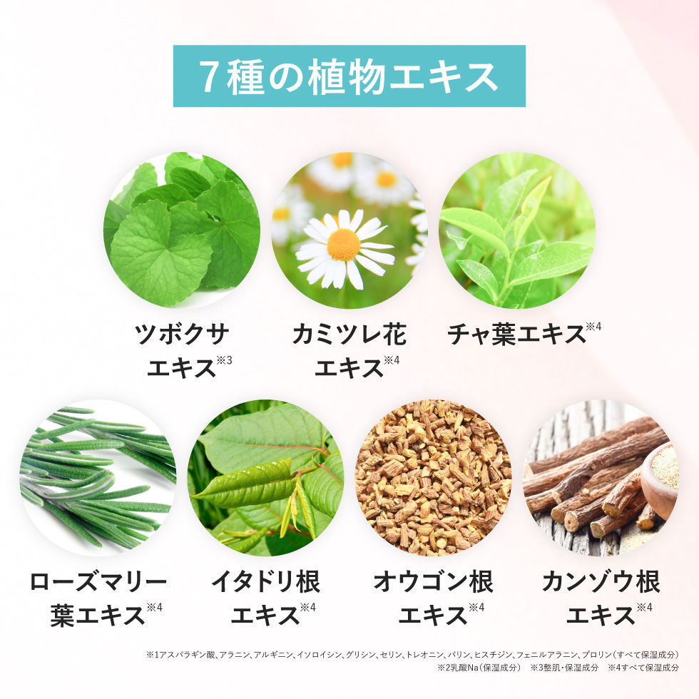 公式】【3個セット】 白髪染め シャンプー 450g 1本で3役 カラー