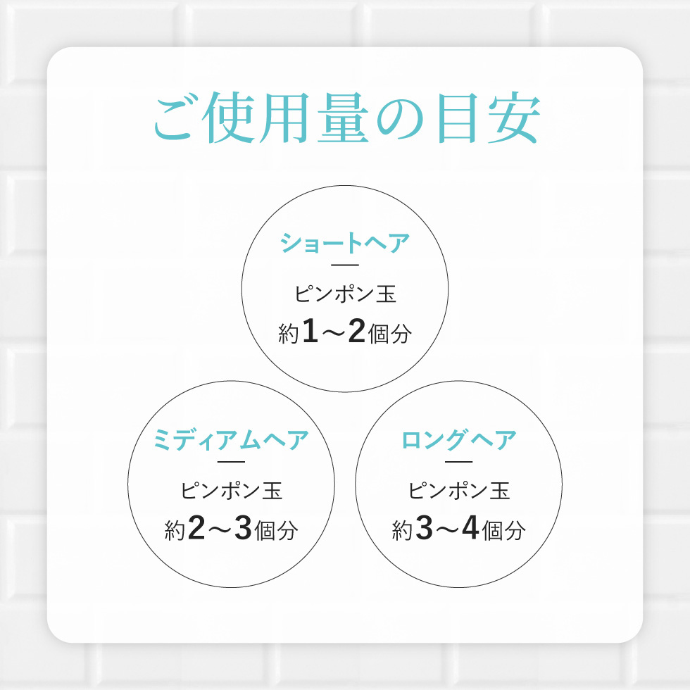 公式】 白髪染め シャンプー 450g 1本で3役 カラーシャンプー