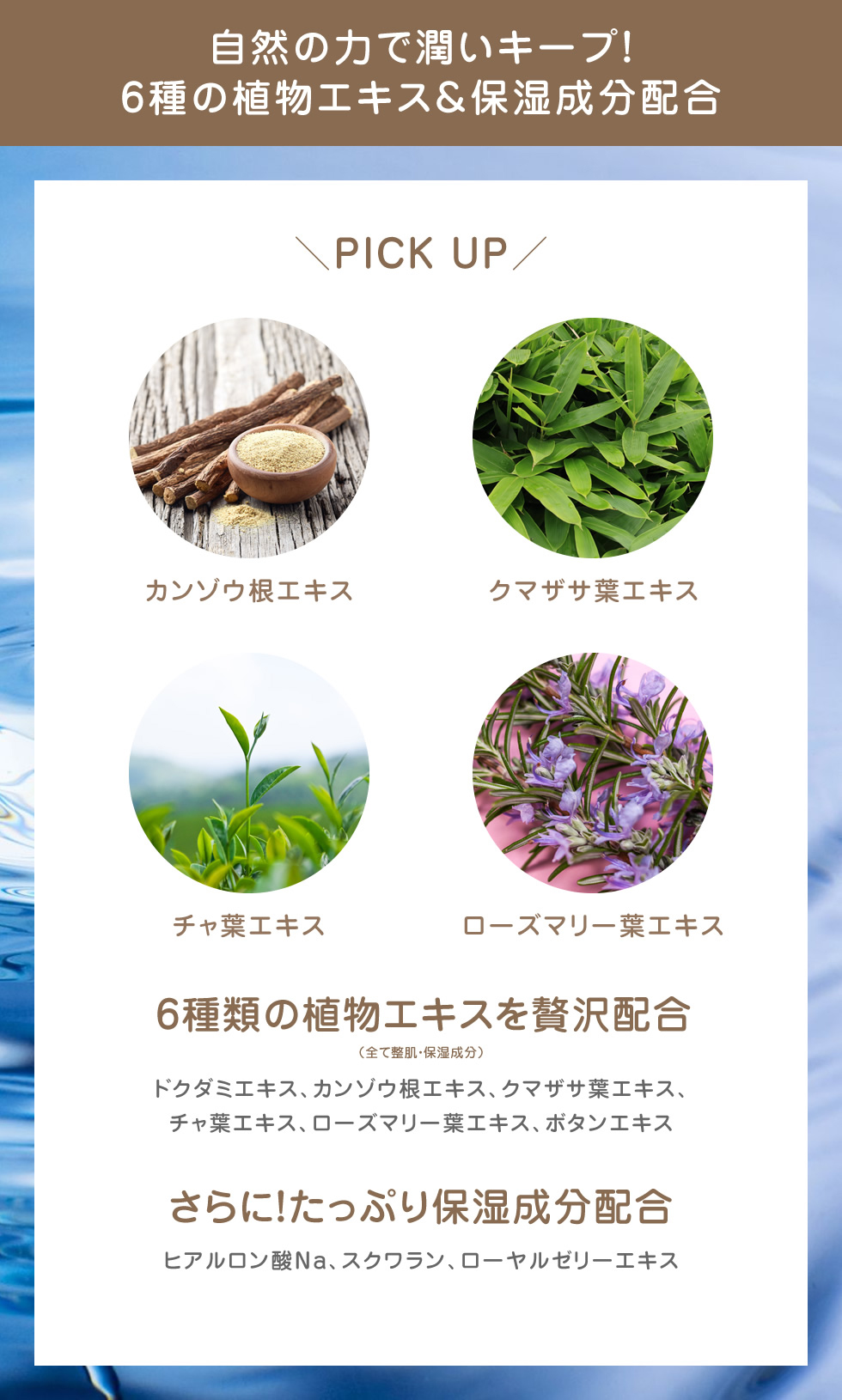 PICOMONTE（ピコモンテ） 洗顔 クレンジング 130g ドクダミ ハーブ