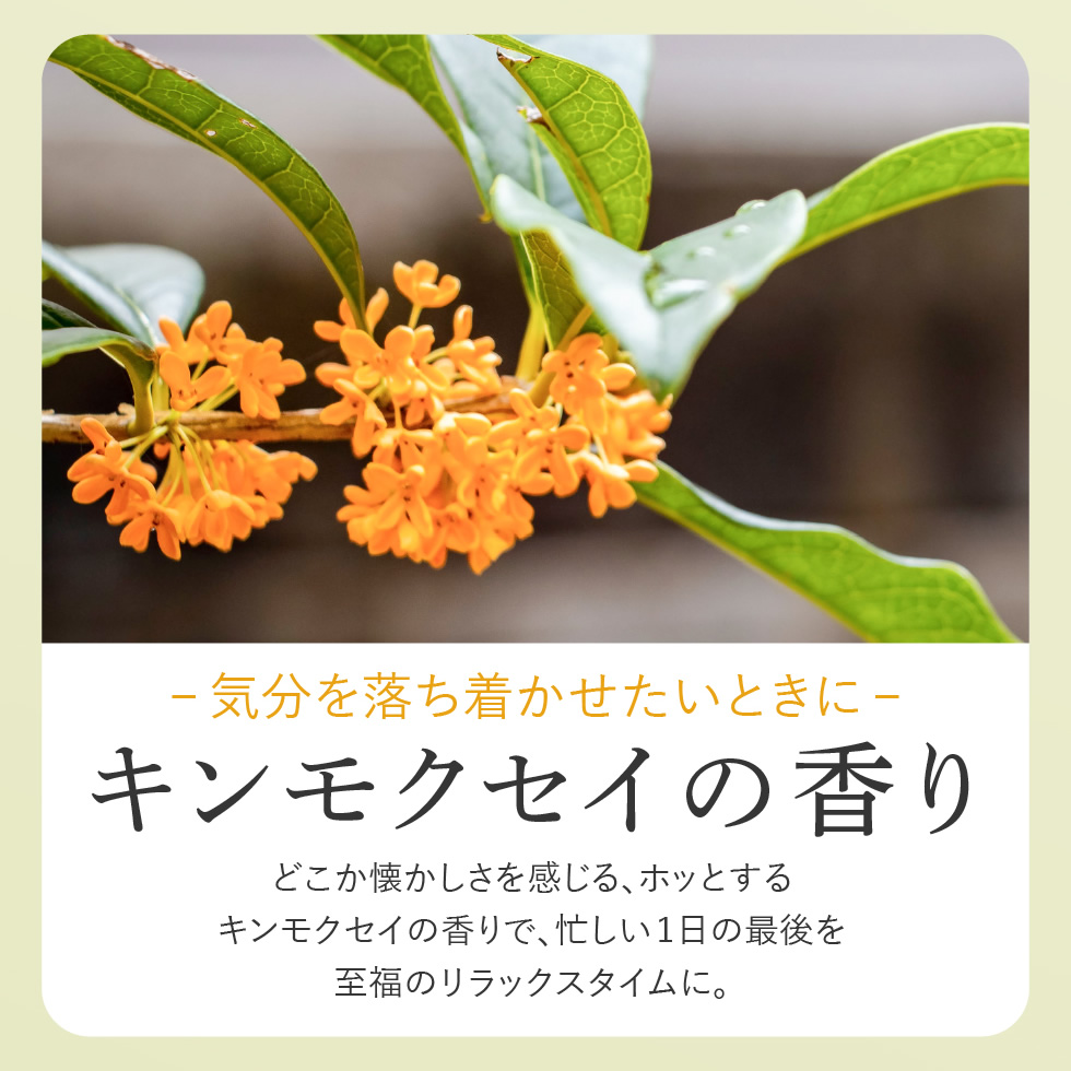 PICOMONTE（ピコモンテ） 入浴剤 25回分 3個セット ヒノキ ローズ