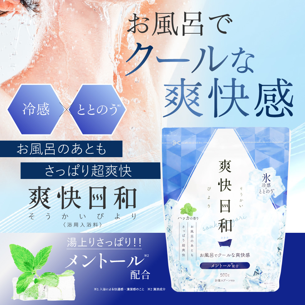 入浴剤 25回分 500g COOL クール ...の詳細画像1