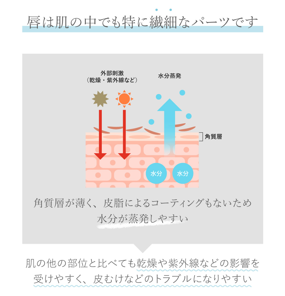 返品?交換対象商品】 シュガースクラブ リップバーム 1本入 リップクリーム リップ 唇 潤い 保湿 角質 角質ケア 口元ケア リップケア スクラブ  カサカサ唇 CICA www.monseletjardin.ca