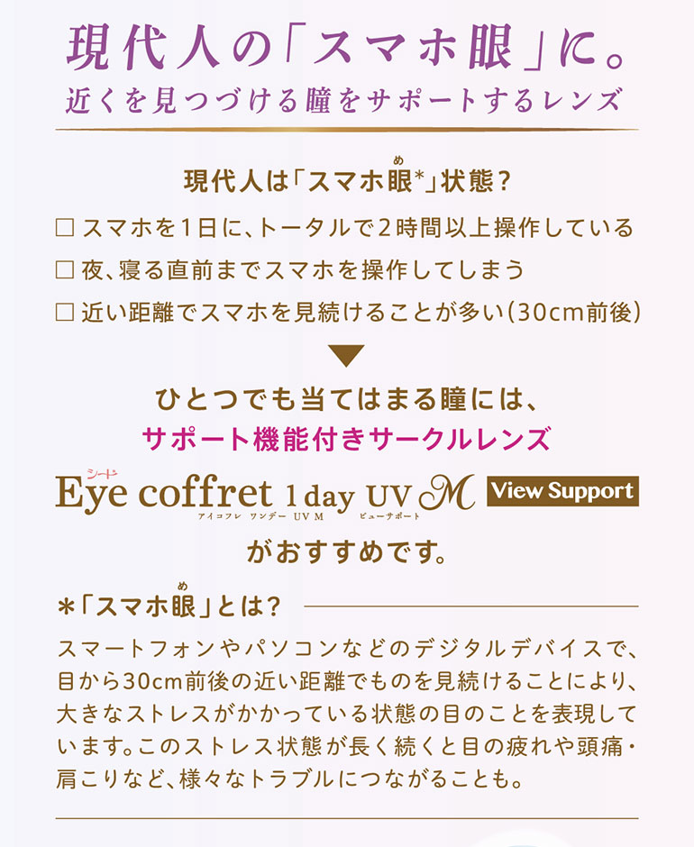 アイコフレワンデーUVMビューサポート 30枚入 12箱 送料無料 処方箋提出 カラコン 1dayの画像