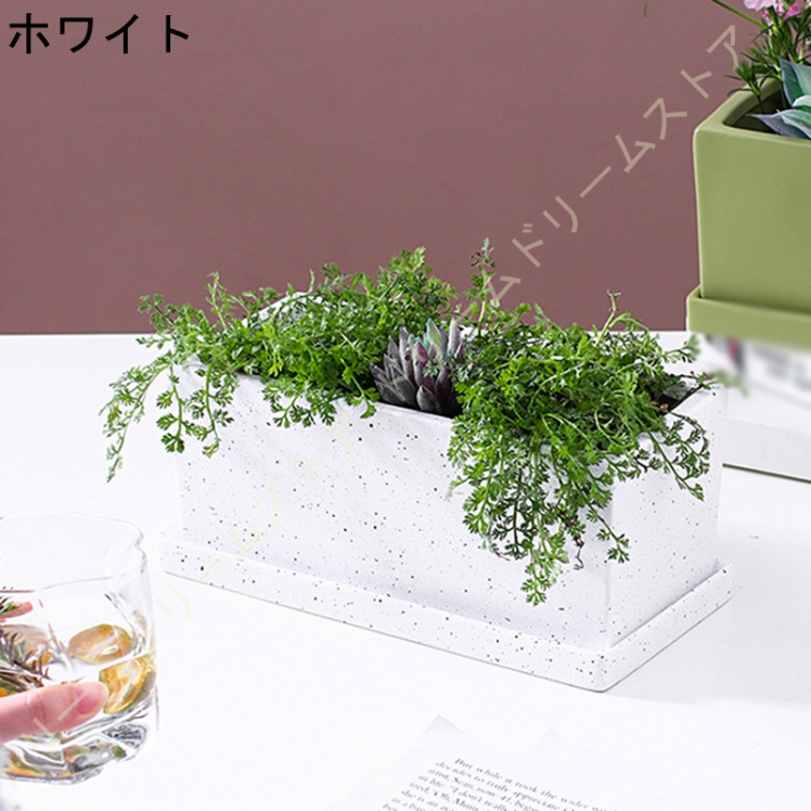 植木鉢受け皿陶器30cm（鉢、プランター）の商品一覧｜庭、ガーデニング