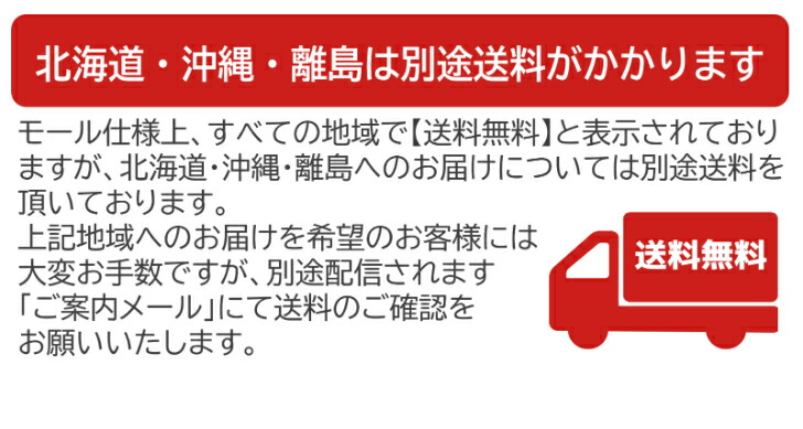 カート 電動 ボード フレーム ホイール バランス 遊園地
