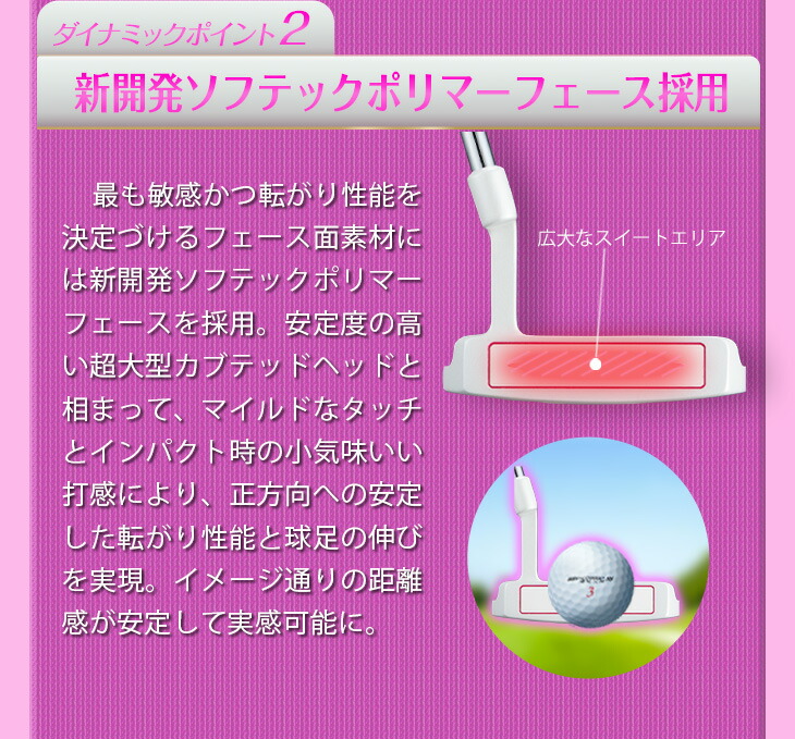 レフティ】 ダイナミクス パター レディース （ 33インチ マレット
