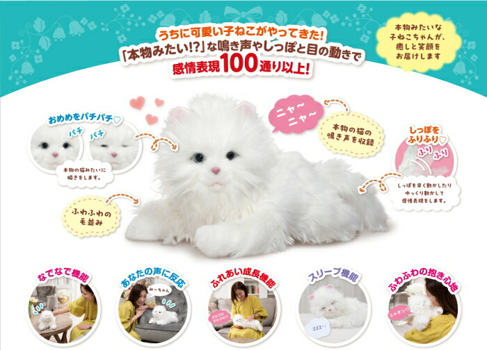 しっぽふりふり あまえんぼう 子ねこちゃん トキワカメラ