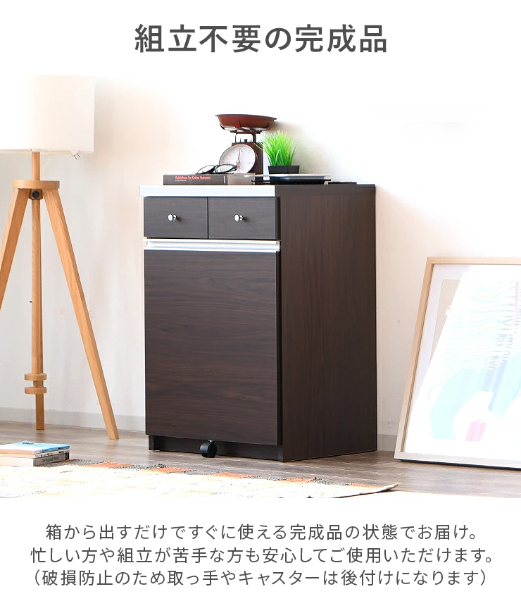 ダストボックス キッチンカウンター 完成品 幅55cm 2分別 収納 スリム