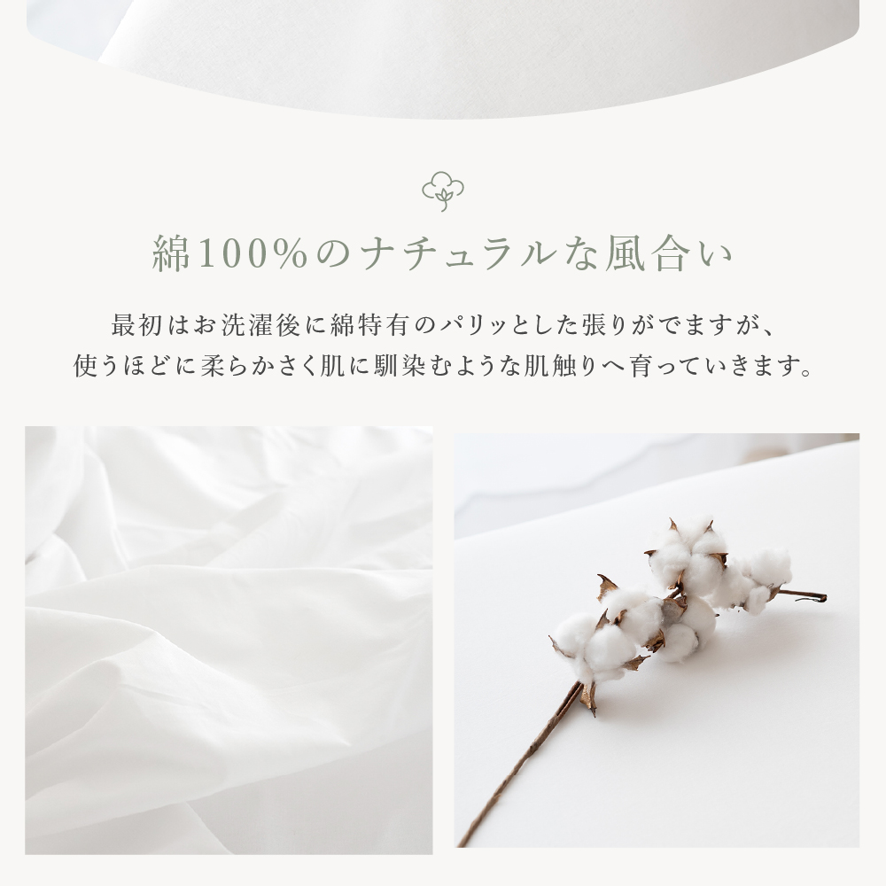 ボックスシーツ 綿100% シングル ベッドシーツ マットレスカバー ベッドカバー BOXシーツ 無地 洗濯機可 継ぎ目なし 寝具 新生活 引越し 100×200cm |  | 08