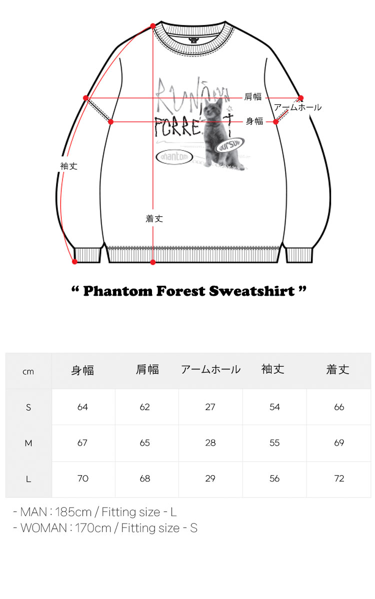 WVプロジェクト 裏起毛 トレーナー WV PROJECT 正規販売店 Phantom Forest Sweatshirt ファントム フォレスト スウェットシャツ 全3色 MJMT7690 ウェア｜drescco｜08