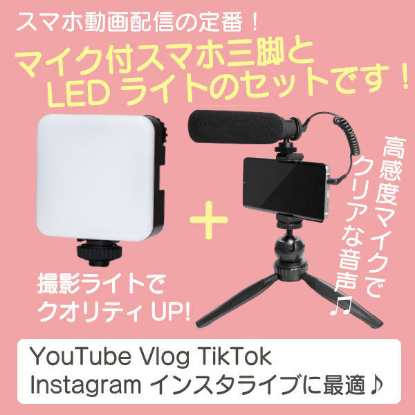 爆安プライス Ledビデオライト マイク付き スマホ三脚 Ledライト Led 動画撮影 Youtube 撮影 フィルライト テレワーク Tiktok Vlog 動画配信 在宅ワーク テレワーク 値引 Www Muslimaidusa Org