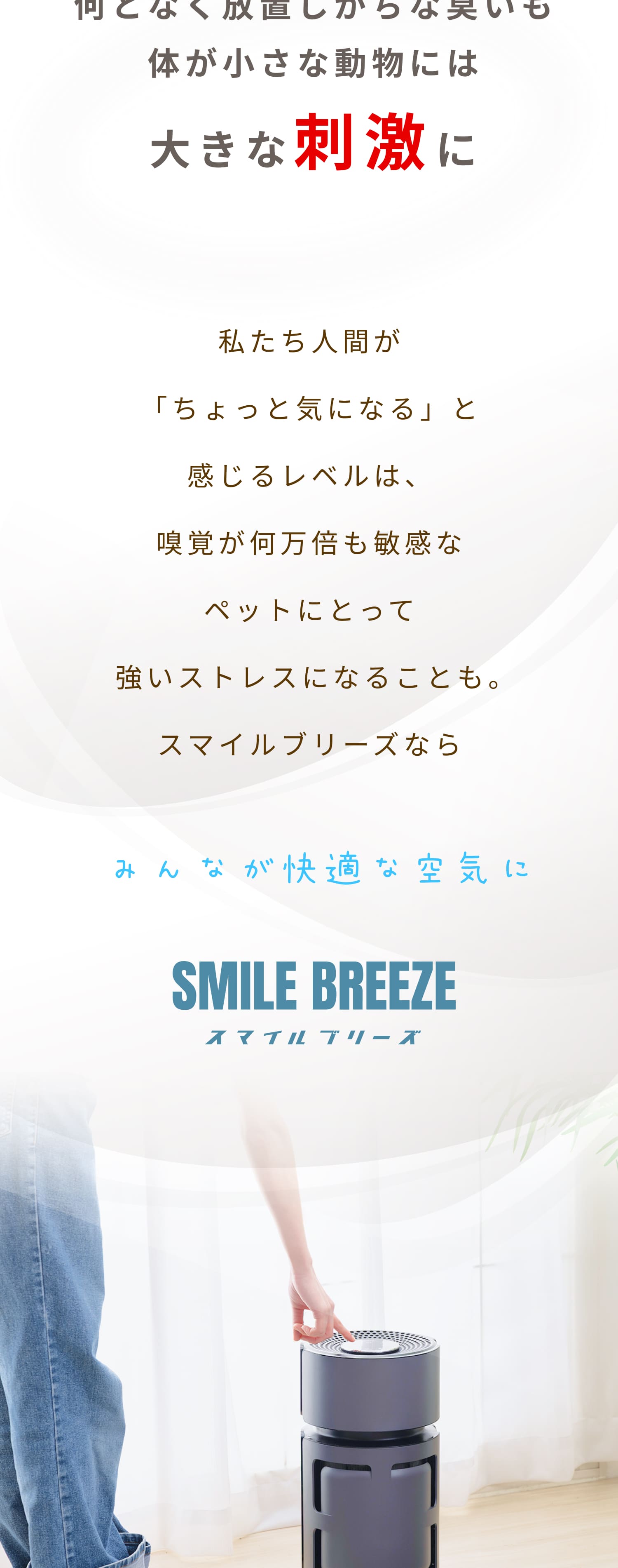 ドリテック dretec 小型 空気清浄機 11畳【ペット臭に特化】ダークグレー ドリテック dretec 小型 空気清浄機 11畳【ペット臭に特化】ダークグレー