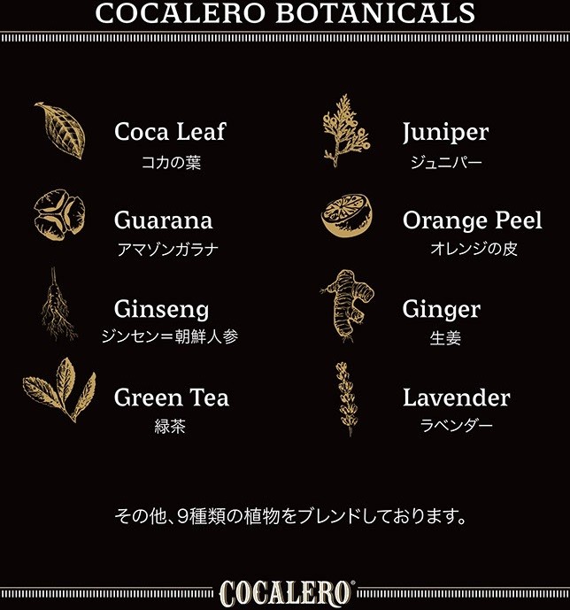 コカレロ COCALERO 29° ガラス製ボムグラス2個付き 700ml瓶 1本